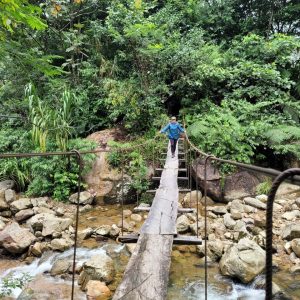 Ecoturismo