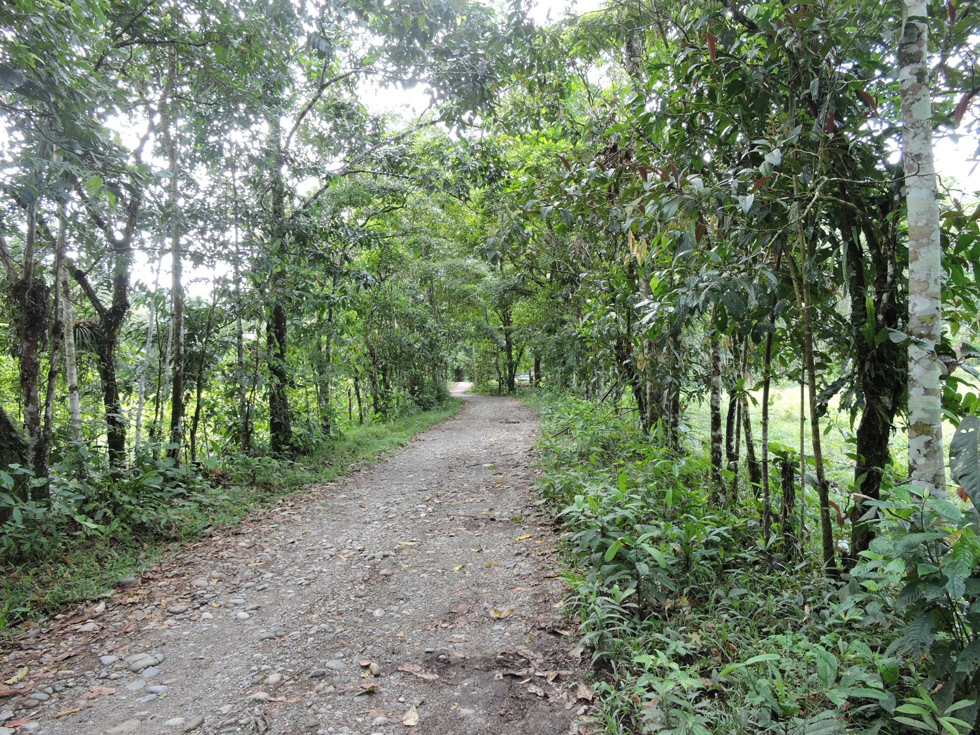 Carretera