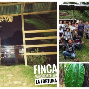 Finca La Fortuna